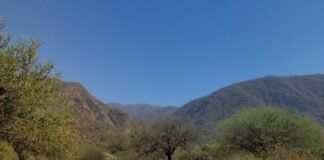 ¿Cómo varía la temperatura media mensual en el Valle Central de Catamarca?