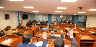 El Senado convirtió en Ley el marco para prevenir y concientizar sobre los juegos y apuestas en línea