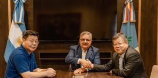 Con el RIGI, Zijin invertirá 600 millones de dólares en proyecto de litio