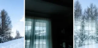 El último trucazo de Photoshop permite eliminar los reflejos de las ventanas en las fotos gracias a la IA