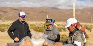 En el distrito de Laguna Blanca se esquilaron más de 500 ejemplares