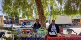 Guía de requisitos para abordar la inocuidad de los alimentos en ferias de la provincia