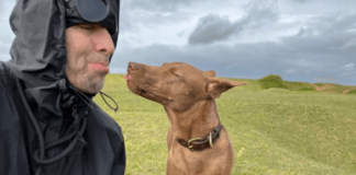 Liam Gallagher fue premiado por adoptar un perro sin hogar