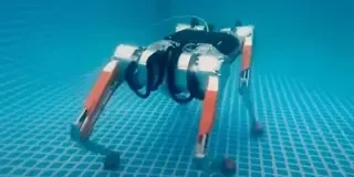 Un perro robot chino logra bajar de diez segundos en los 100 metros