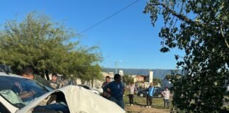 Automovilista se estrelló contra un árbol en la Capital