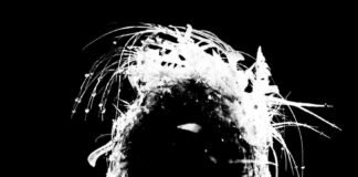 5 COSAS QUE NO SABÍAS DEL PRÓXIMO ÁLBUM DE MILEY CYRUS