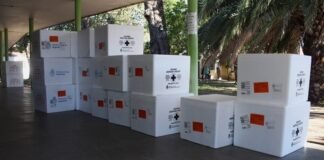 Catamarca recibió 9 mil vacunas antigripales