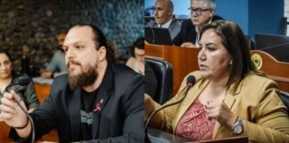 Diputados: Denett a Carrizo, «Lo único que puede cruzar es de vereda»