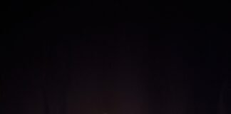 Latir andino: Taller “Tinya Raíz”, una experiencia de memoria y música