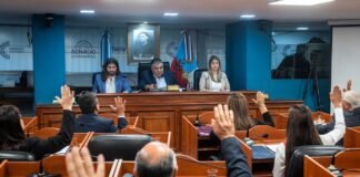 Media sanción por unanimidad a la suspensión de las PASO en la Provincia