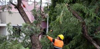Amplio operativo municipal por el temporal
