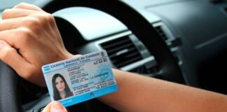 El Gobierno oficializó los cambios en las licencias de conducir