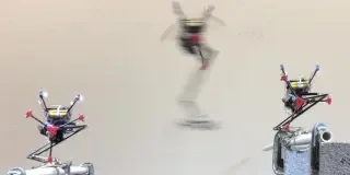 España potencia la ganadería: este perro-robot puede pastorear ovejas sin ayuda humana