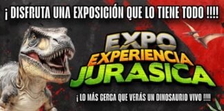 «Expo Experiencia Jurásica», por primera vez en Catamarca del 11 al 13 de abril