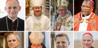 ¿Quiénes son los cardenales que podrían suceder al Papa Francisco?