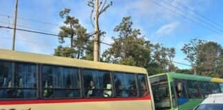 El servicio de colectivos funciona con normalidad en el Valle Central