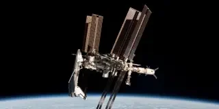 La NASA prueba ratones en la ISS y descubre que el espacio destruye los huesos desde dentro