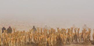 Laguna Blanca y San José: dos pueblos turísticos de Catamarca buscan ser los mejores del mundo