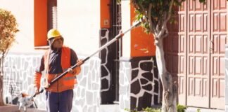 Lanzamiento del Plan de Poda 2025 en el Barrio Alem