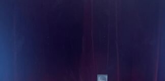 Una jornada de cultura e intercambio: Toyota Del Parque llevó a los alumnos de la E.P.E.T N°7 a ver “Esperando la Carroza”