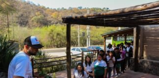 Los chicos de 4° grado podrán realizar visitas didácticas gratuitas y recorrer los atractivos de la ciudad en el Bus Turístico