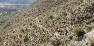 Buscan desesperadamente a un nene de 11 años en Aconquija que desapareció cuando fue a buscar a un animal