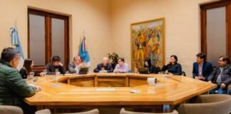 Catamarca fortalece vínculos con Japón para el desarrollo minero y tecnológico