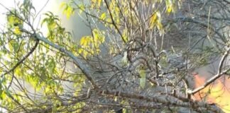 Dos tragedias por incendios de viviendas sacudieron la zona sur de la ciudad