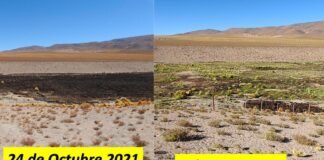 El Gobierno presentó el Estudio del Impacto Ambiental Acumulativo en Río Los Patos y Salar del Hombre Muerto requerido por la Corte