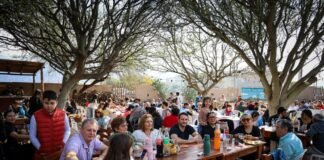 El público colmó la Casa de la Puna en el Patio Criollo por el 9 de Julio