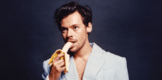 Harry Styles lanza una línea de juguetes sexuales