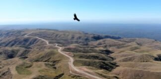 La Ruta 42 pavimentada, un sueño hecho realidad para los alteños