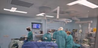 Nueva ablación de órganos y tejidos