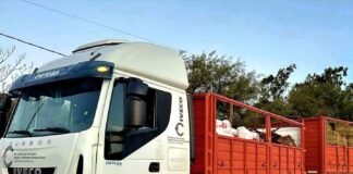 Apoyo a productores ganaderos de Laguna Blanca tras el temporal