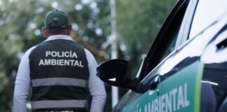 Cada vez más vecinos acuden a la Policía Ambiental: más de 500 denuncias en dos meses