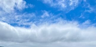 Cuenta regresiva para el 48° Congreso Argentino de Producción Animal