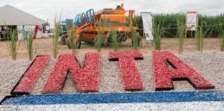 El Gobierno de Milei eliminó la Dirección Nacional del INTA