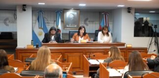 El Senado expresó su satisfacción por los avances en el Corredor por el Paso de San Francisco