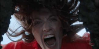 Florence + The Machine anuncia su regreso