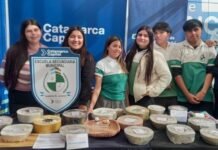 “Llama Eterna”: Proyecto sustentable de estudiantes, entre los seis mejores del país