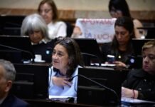 SENADO APROBÓ Y CONVIRTIÓ EN LEY LA EMERGENCIA SANITARIA PEDIÁTRICA, CON LA QUE SE BUSCA PROTEGER AL GARRAHAN