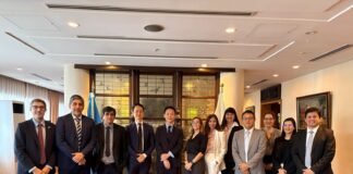 Catamarca busca atraer inversiones mineras en Japón