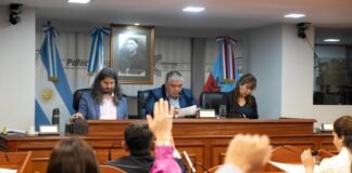 El Senado dio sanción definitiva a la creación de la línea telefónica gratuita “Proteger”