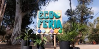 Exito Rotundo en la Primera «Eco Feria»