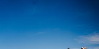 Inauguraron el tramo La Calerita-Loma Larga y restan pocos kilómetros para que la Ruta 1 esté totalmente pavimentada