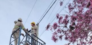 Raúl Barot anunció la puesta en funcionamiento del recambio de alumbrado público con tecnología LED en el Barrio Obrero de Los Altos