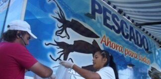Conocé el cronograma itinerante del programa «Pescado para todos»