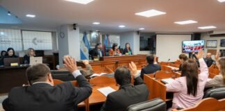 El Senado otorgó media sanción a la reforma del Código Procesal Civil y Comercial