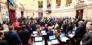 El Senado rechazó los vetos al financiamiento universitario y de fondos para el Garrahan