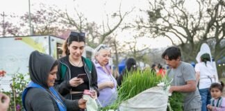 Hoy por la Tarde de Mercado Itinerante y Municipio en tu Barrio en la plaza de Villa Cubas